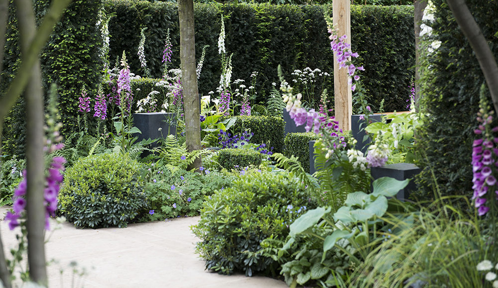 Chelsea show garden