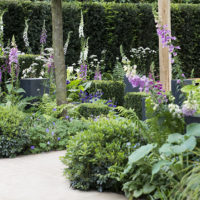 Chelsea show garden