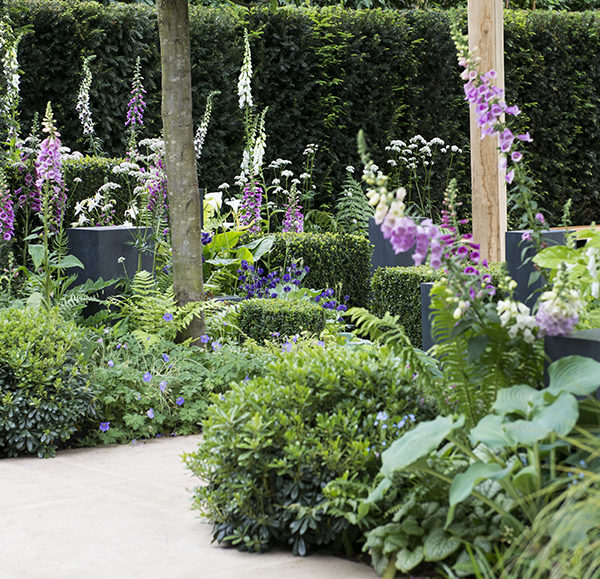 Chelsea show garden