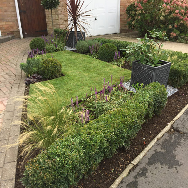 Front Garden with lawn