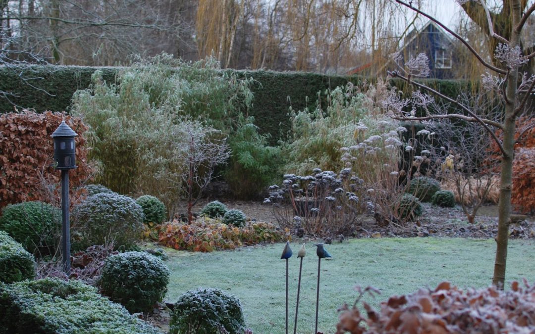 How to Make Your Garden Look Great in MidWinter Jon Gower Garden Design