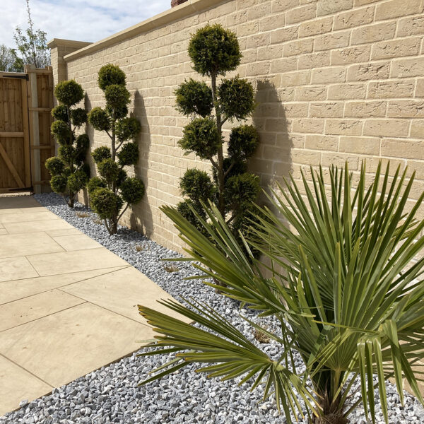 Garden Topiary