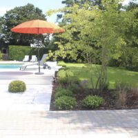 Swimming pool garden design